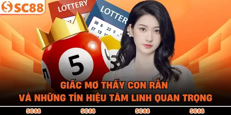 Giấc mơ thấy con rắn và những tín hiệu tâm linh quan trọng